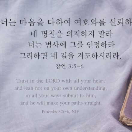 잠언 3:5-6
