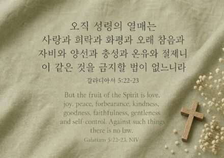 갈라디아서 5:22-23