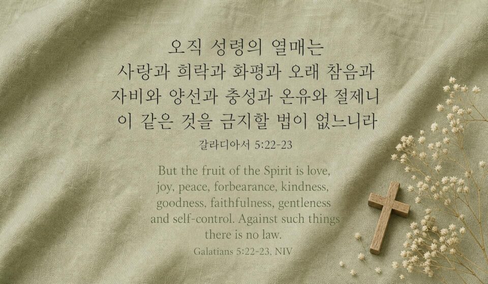 갈라디아서 5:22-23