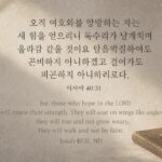 이사야 40:31 오늘의 말씀 카드