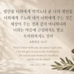 요한복음 14:27