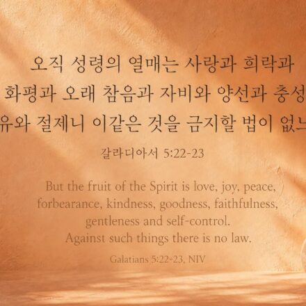 갈라디아서 5:22-23