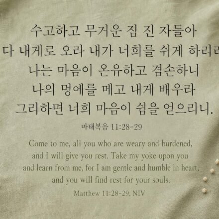 마태복음 11:28-29